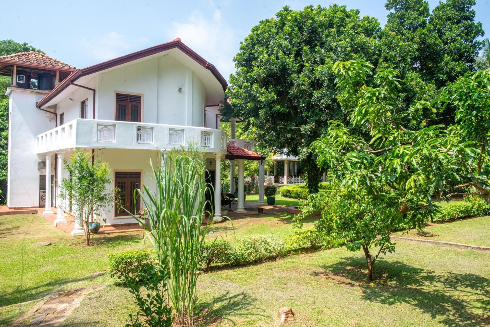 The Jungle Pearl Hotel Удавалаве Екстер'єр фото