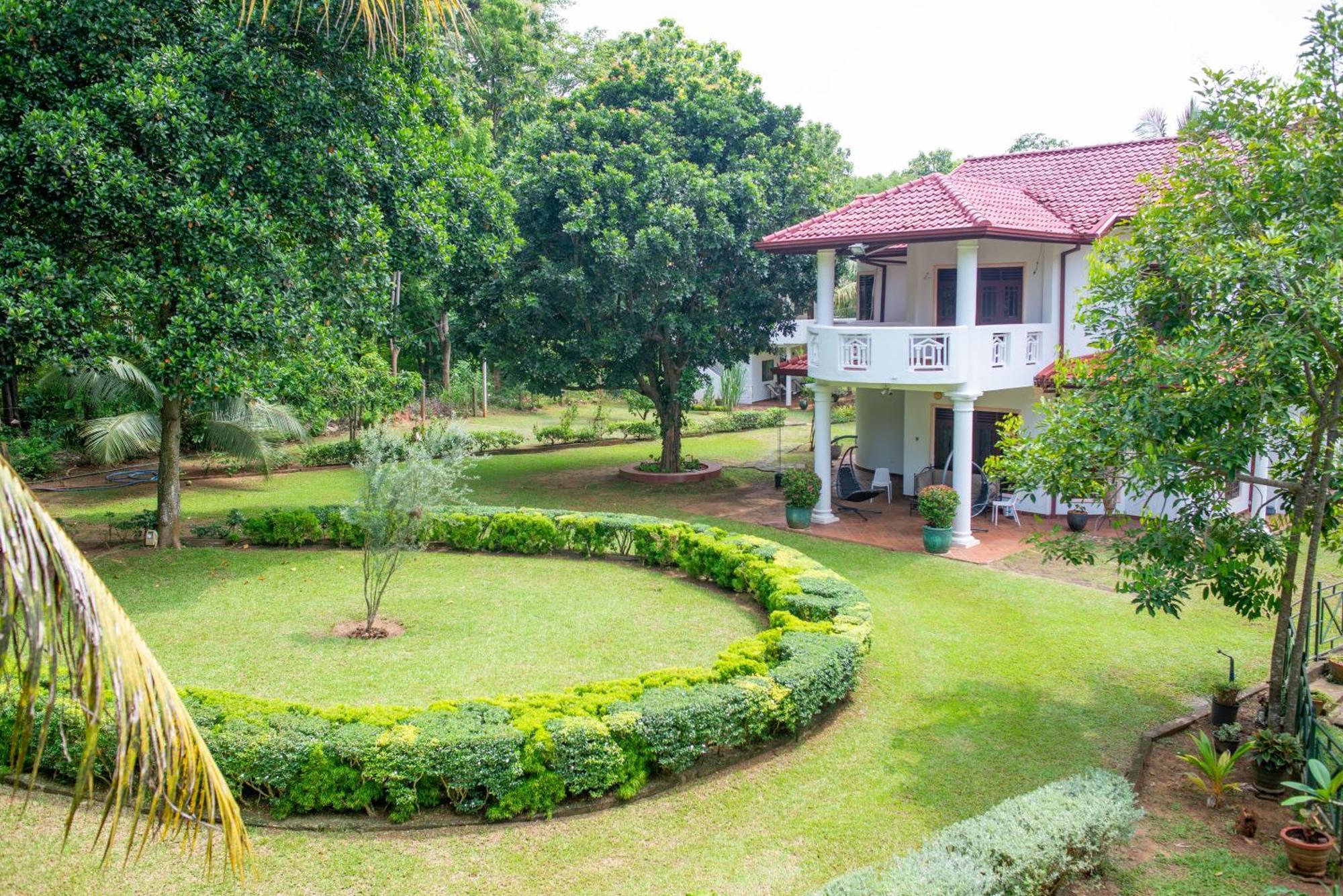 The Jungle Pearl Hotel Удавалаве Екстер'єр фото